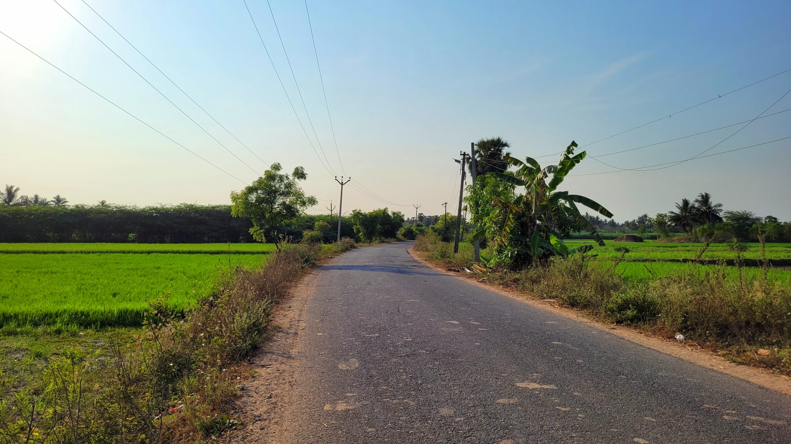 Way to Arasamangalam