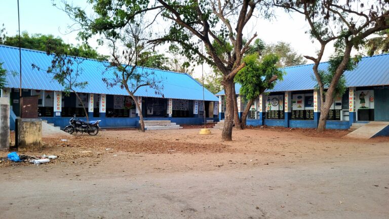 Government Primary School