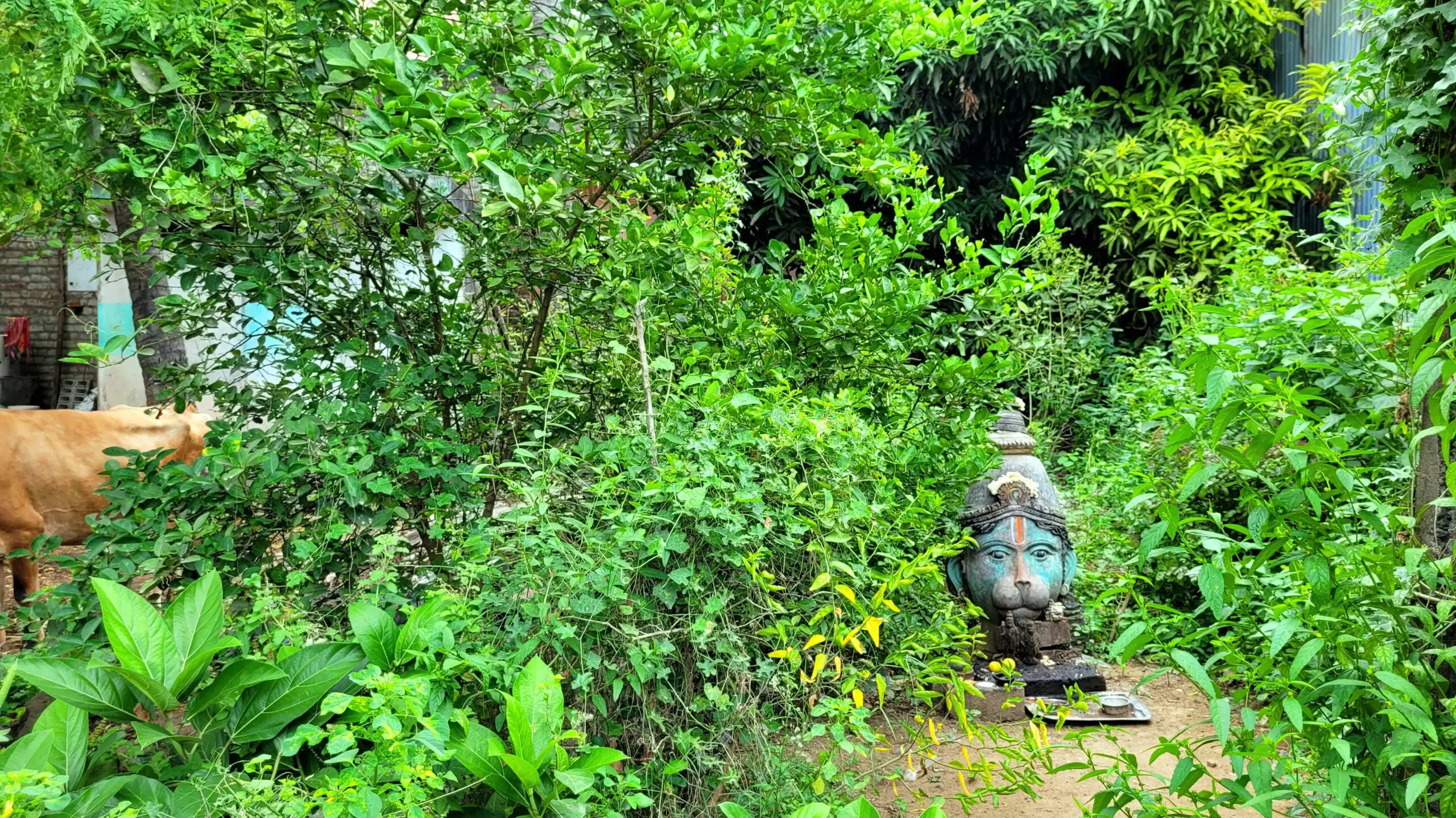 Anjaneya Temple