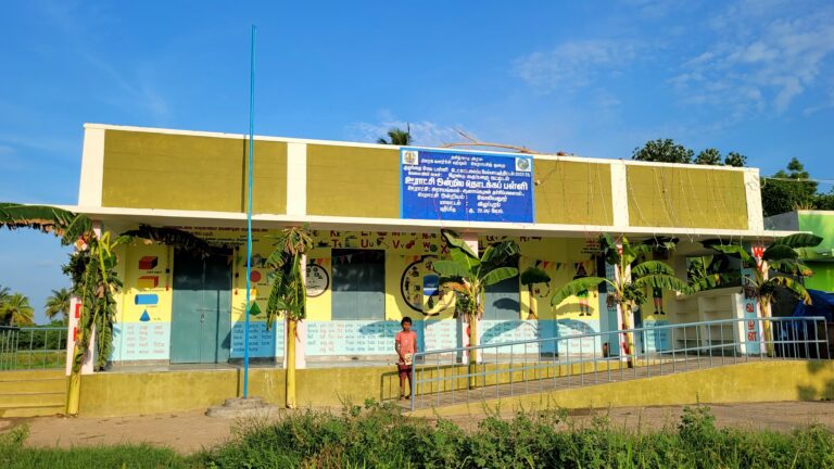 Government Primary School