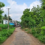 aanangooran kuchipalayam