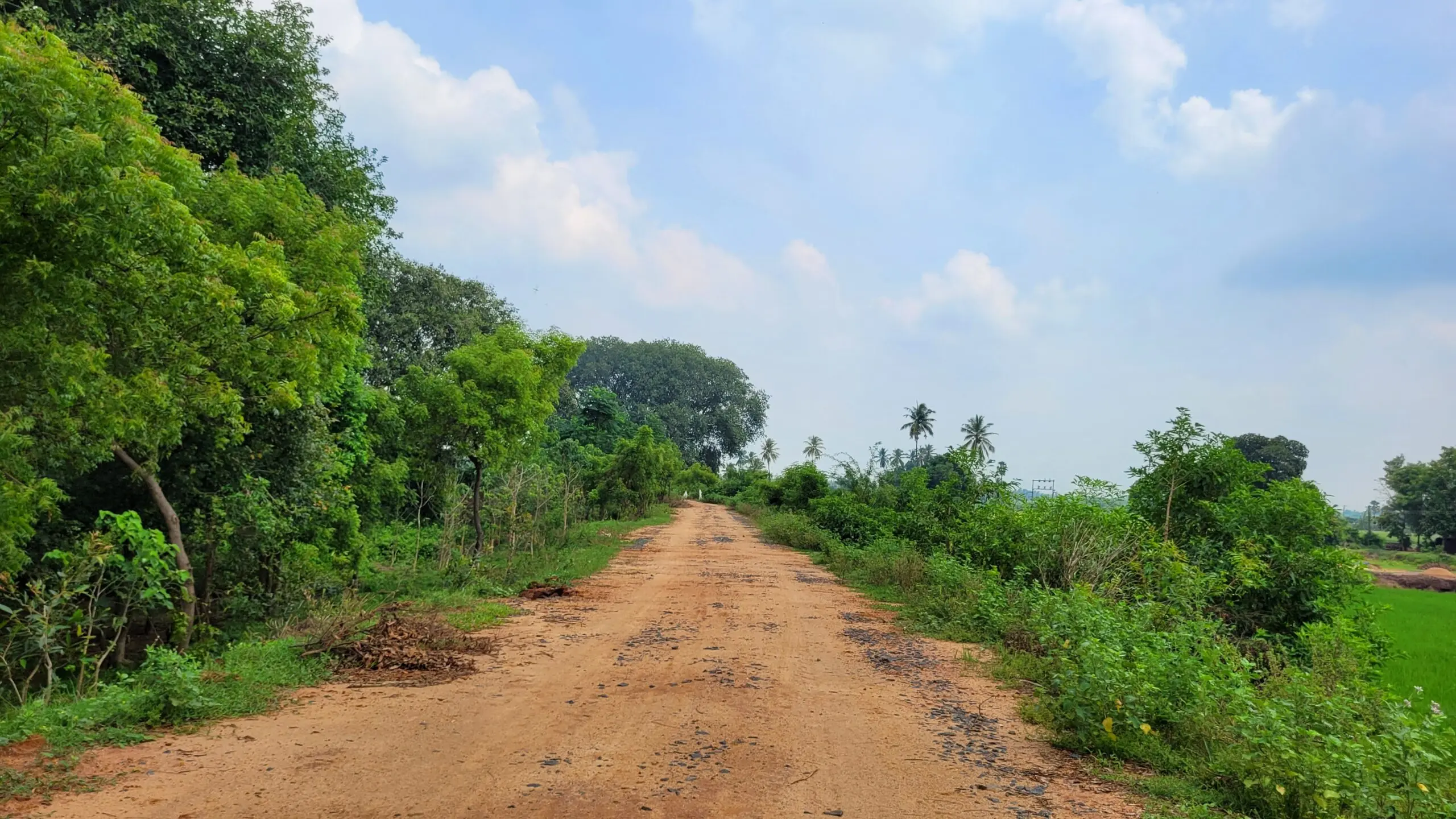 Way to Arasamangalam