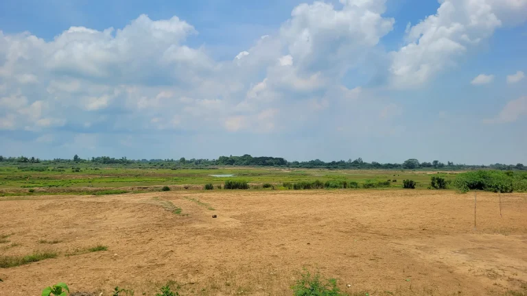 Thenpennai River