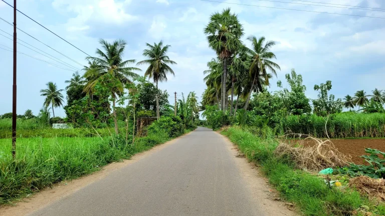 Way to Vadavambalam