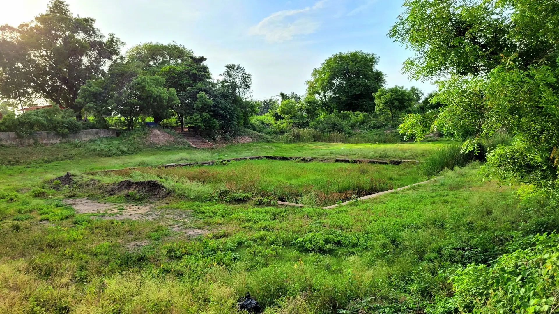 Pond