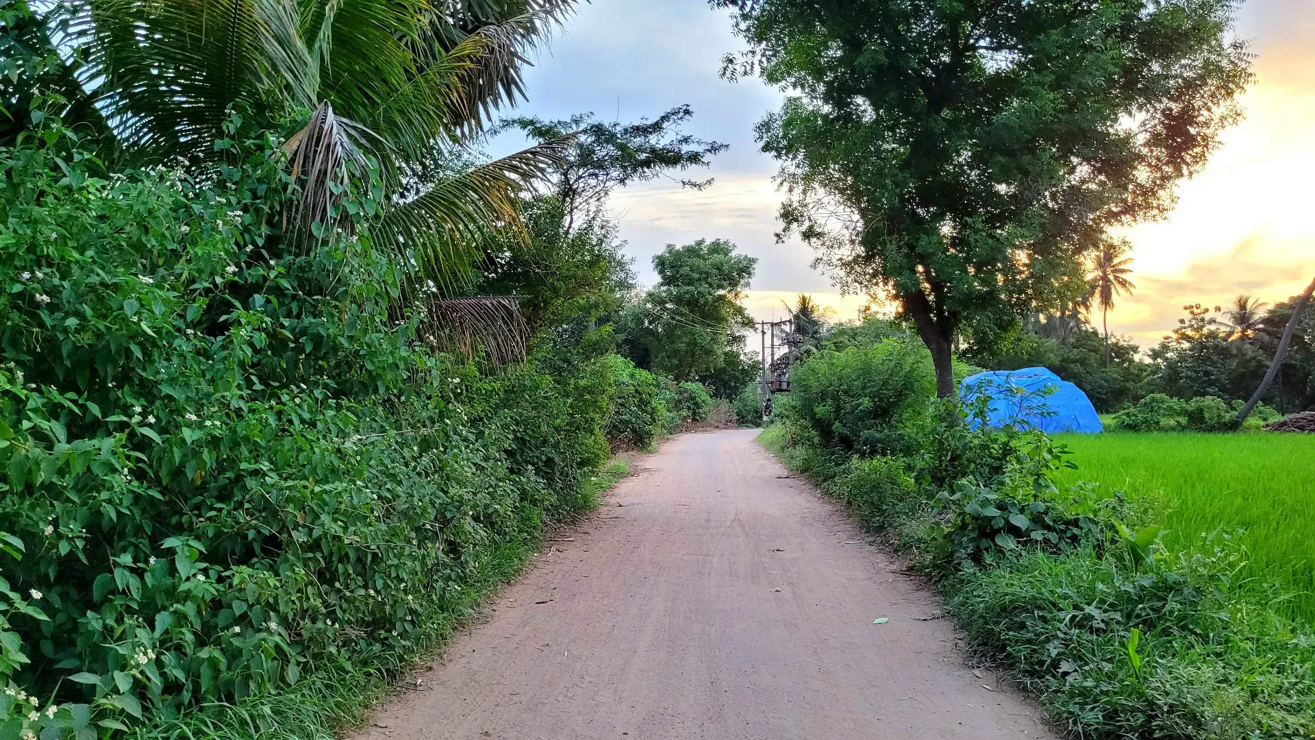 Way to A.G.Kuchipalayam