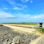 Check Dam