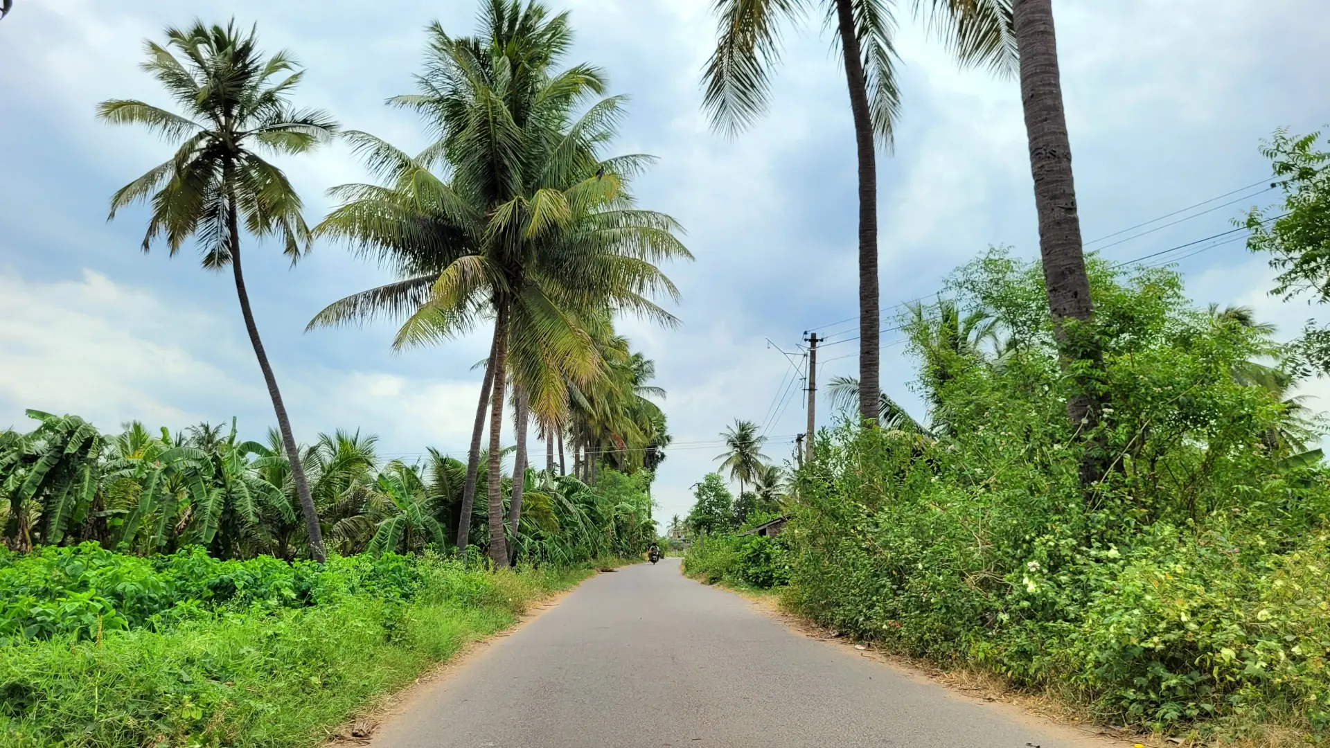 Way to Chinna Kallipattu